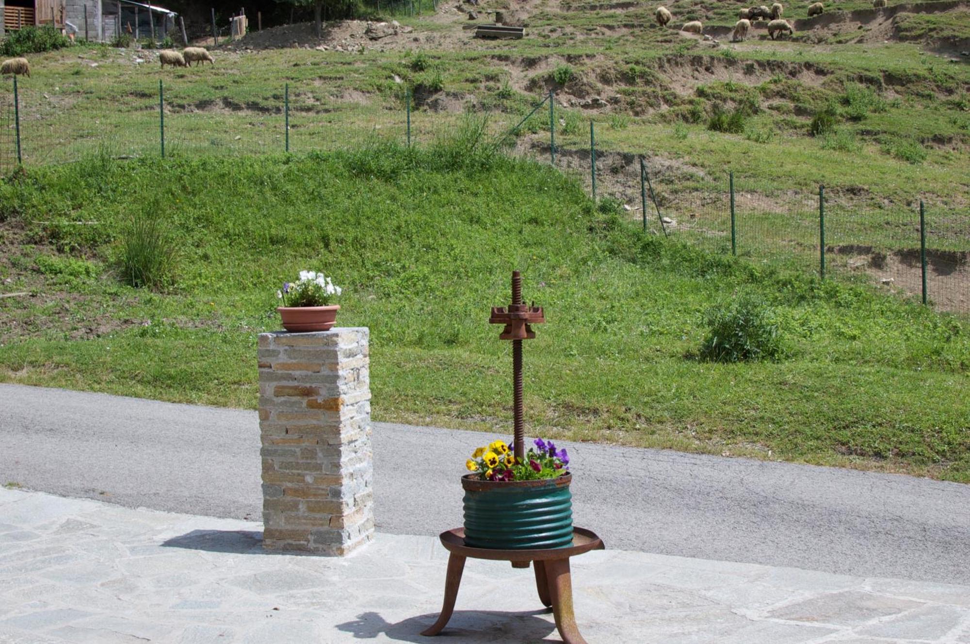 Affittacamere Graziella Vernazza Eksteriør bilde