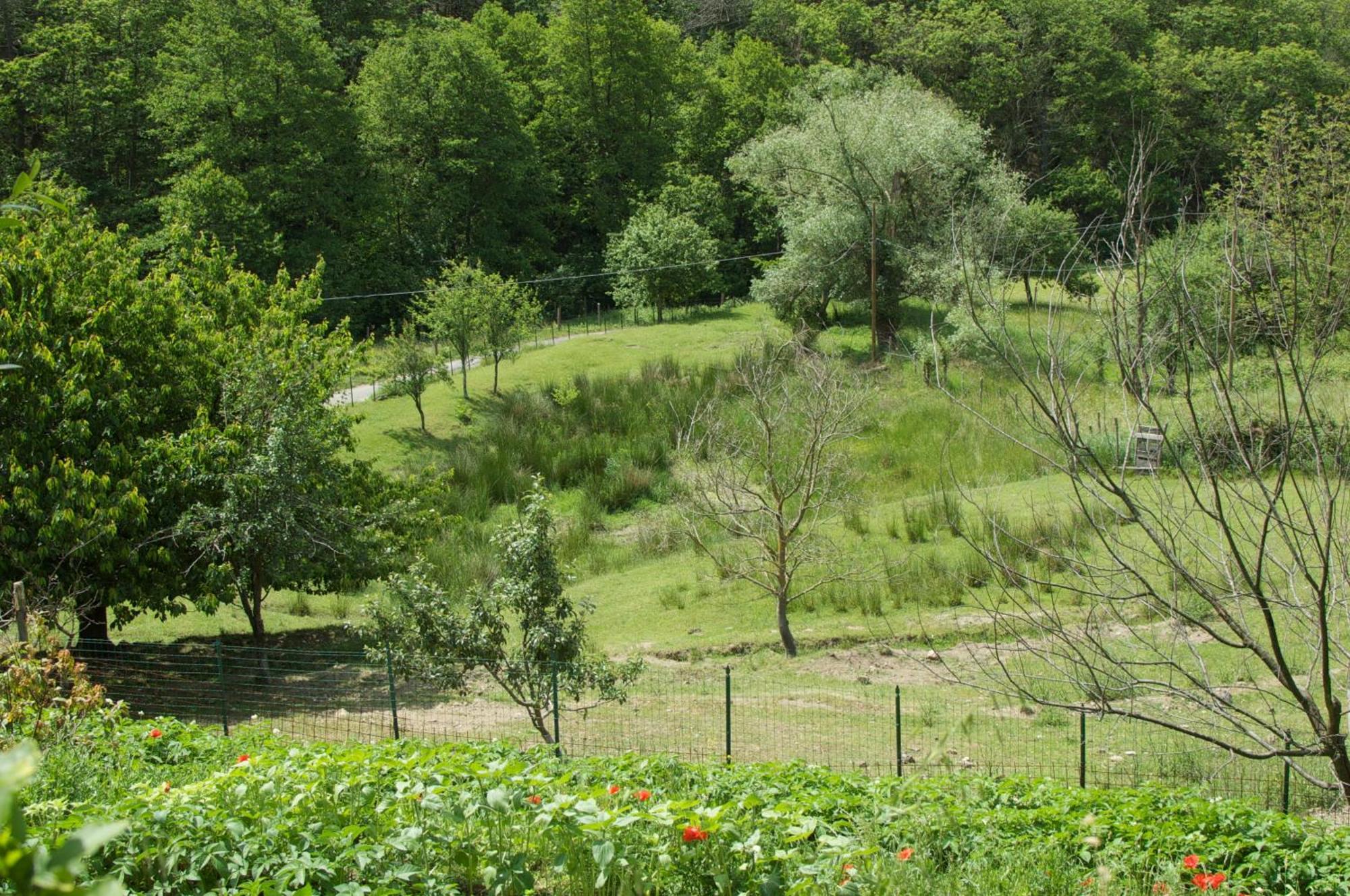 Affittacamere Graziella Vernazza Eksteriør bilde