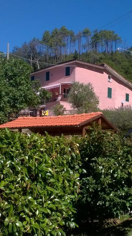 Affittacamere Graziella Vernazza Eksteriør bilde
