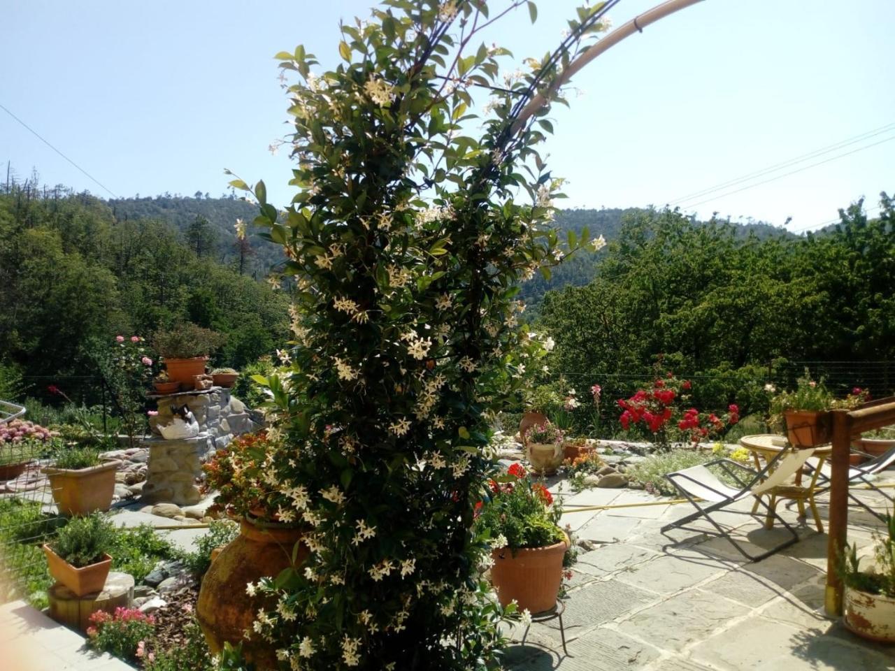 Affittacamere Graziella Vernazza Eksteriør bilde